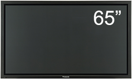 Panasonic TH-65PF20ER