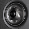 Polk Audio Reserve R600 (Black) СЧ/НЧ диффузор Turbine