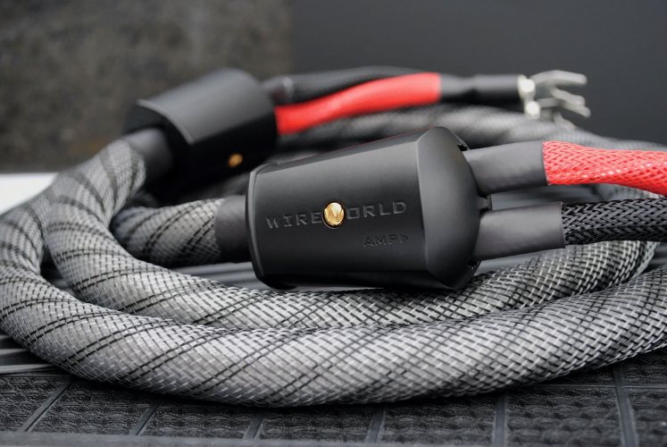 Пара готовых акустических кабелей с разъёмами Wireworld Silver Eclipse 10 (2.5m)
