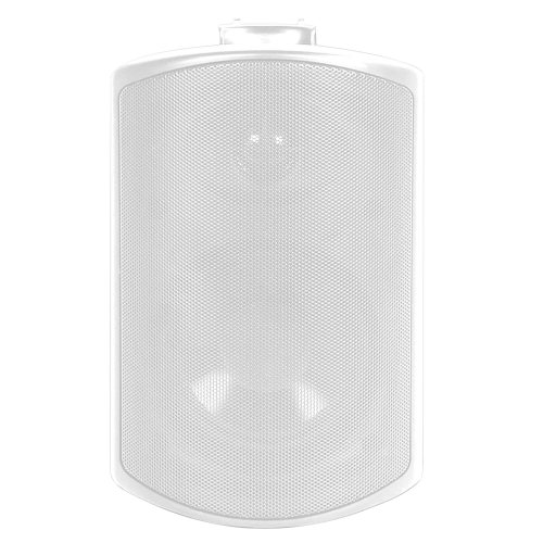 Elipson RAIN 8 White Всепогодная акустика