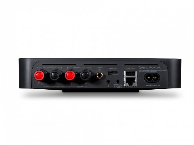 Задняя панель Bluesound POWERNODE EDGE (Black)