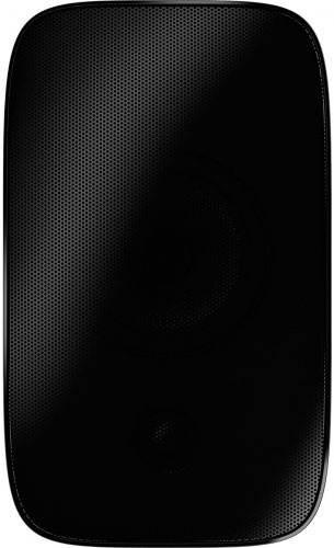 Bowers & Wilkins AM-1 (Black) вид спереди