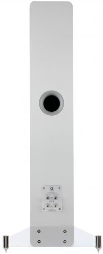 Q Acoustics Concept 40 (White) задняя панель