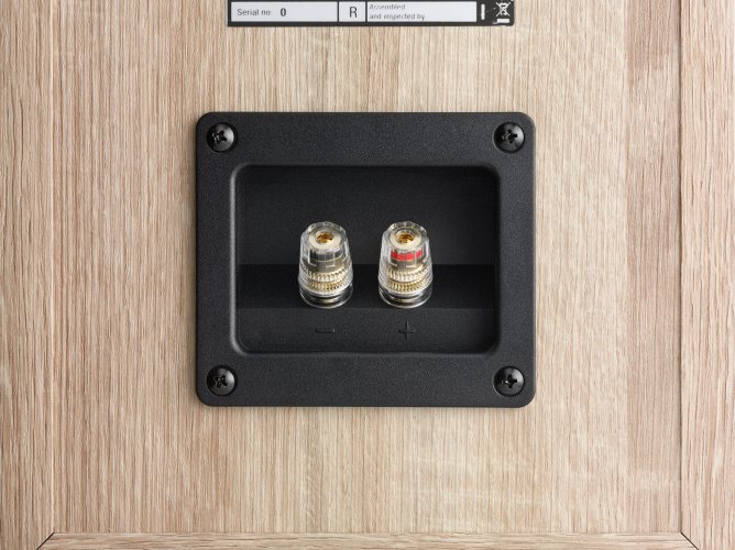 Dali OBERON 1 (Light Oak) Акустические клеммы