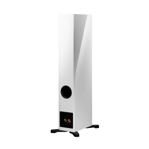 Dynaudio Evoke 30 (White High Gloss) задняя панель