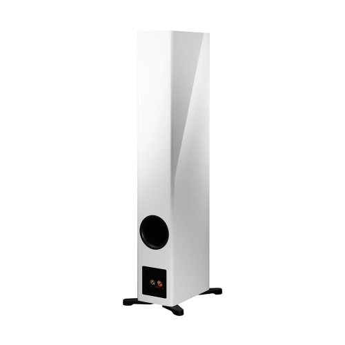 Dynaudio Evoke 50 (White High Gloss) задняя панель