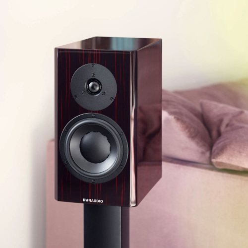 Dynaudio Special Forty Black Vine