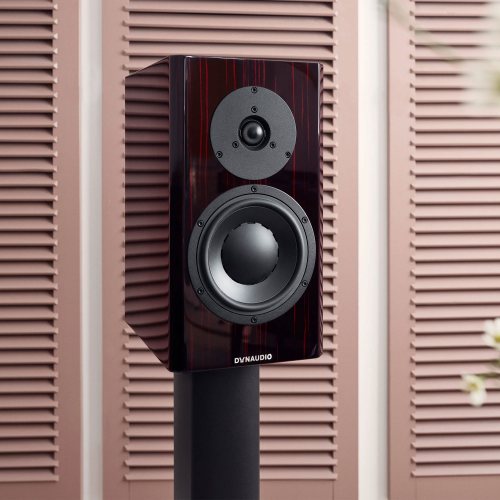 Dynaudio Special Forty Black Vine