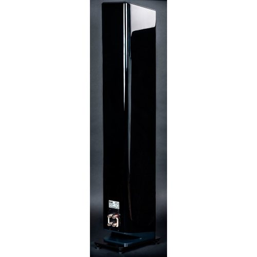 Elac Vela FS 409 (Black High Gloss) задняя панель