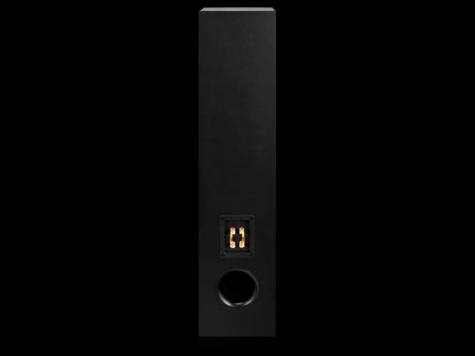 Emotiva Airmotiv T1 (Black) задняя панель