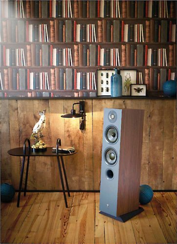 Focal Chora 816 (Dark Wood) в интерьере