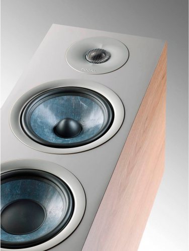 Focal Chora 826 (Light Wood) динамики