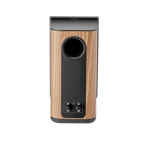 Focal Kanta N1 (Walnut Mat/Dark Grey Mat)