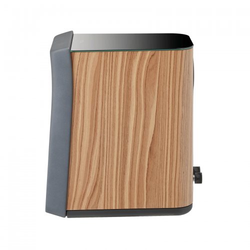 Focal Kanta N1 (Walnut Mat/Dark Grey Mat)