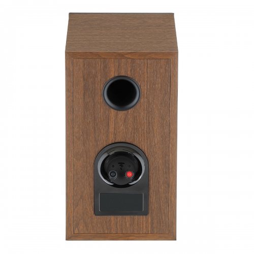 Focal Theva N1 (Dark Wood)