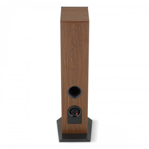 Focal Theva N2 (Dark Wood)