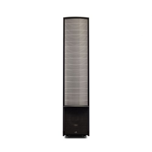 Martin Logan Expression ESL 13A (Arctic Silver) передняя панель