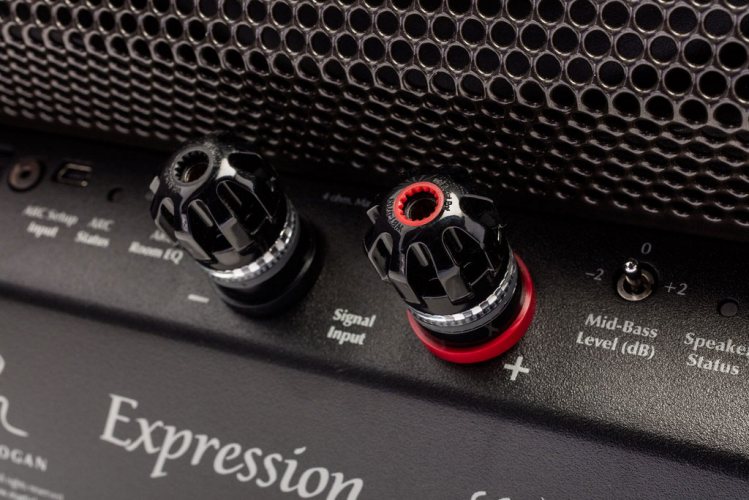 Martin Logan Expression ESL 13A (Cordoba Red) акустические разъёмы