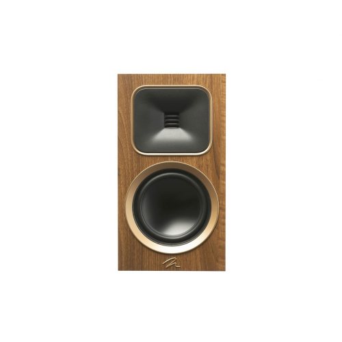 Martin Logan Motion Foundation B1 Walnut