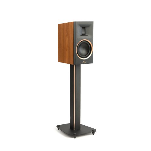 Martin Logan Motion XT B100 Walnut