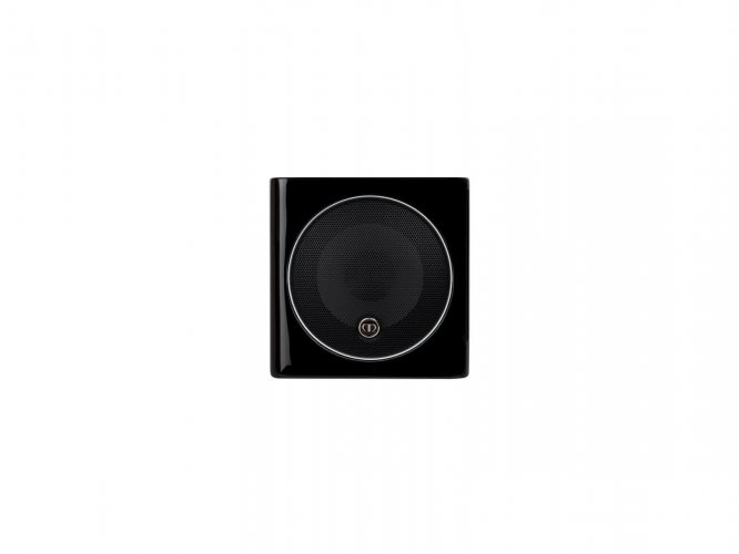 Monitor Audio Radius 45 (High Gloss Black) передняя панель