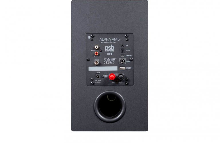 PSB Alpha AM5 (Black) задняя панель