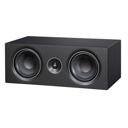 PSB Alpha C10 (Black Ash)