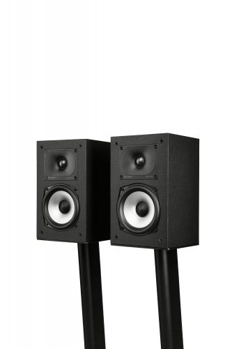 Polk Audio Monitor XT15 (Black) на напольных стойках