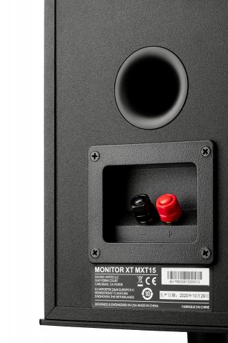 Polk Audio Monitor XT15 (Black) задняя панель