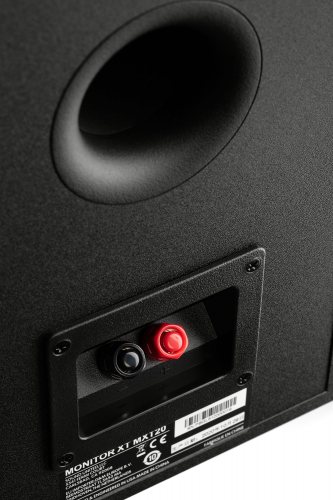 Polk Audio Monitor XT20 (Black) акустические разъёмы