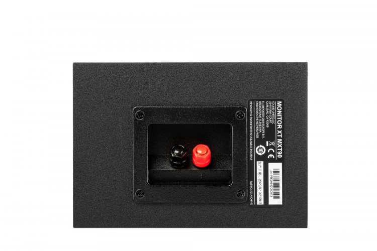 Polk Audio Monitor XT90 (Black) задняя панель