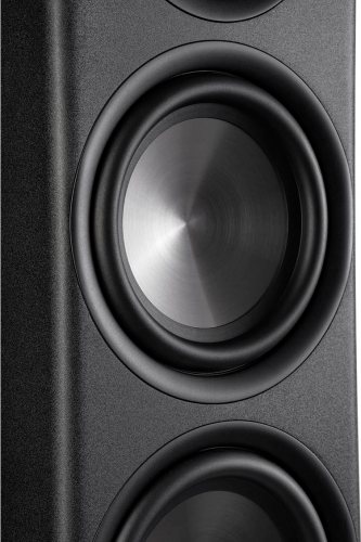 Polk Audio Reserve R700 (Black) НЧ диффузор