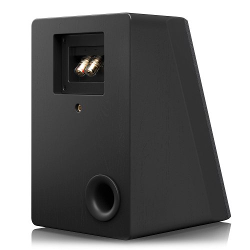 SVS Ultra Evolution Elevation Black Oak Veneer Задняя панель под углом