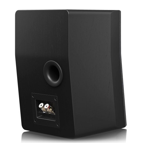 SVS Ultra Evolution Nano Black Oak Veneer Задняя панель под углом