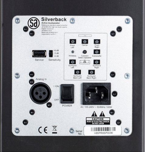 System Audio SA legend 40.2 silverback (Satin Black) панель управления