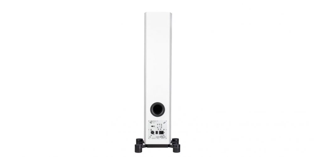 System Audio SA legend 40.2 silverback (Satin White) задняя панель