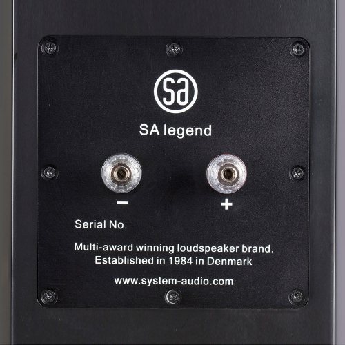 System Audio SA legend 40.2 (Satin Black) акустические разъёмы