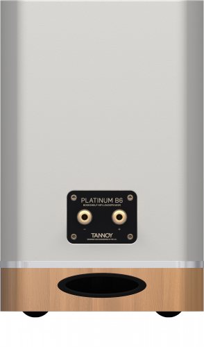 Tannoy Platinum B6 (White) задняя панель