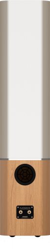 Tannoy Platinum F6 (White) задняя панель
