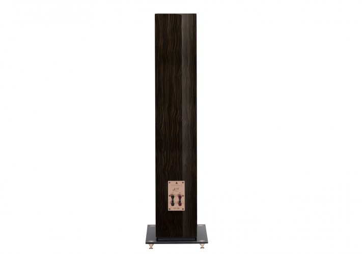 Triangle Antal 40th Anniversary (Santos Rosewood) задняя панель