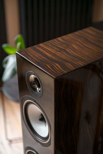 Triangle Antal 40th Anniversary (Santos Rosewood) ВЧ диффузор