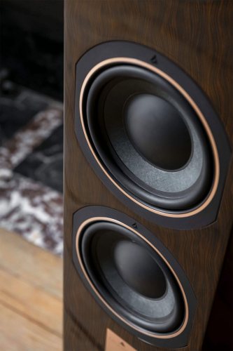 Triangle Antal 40th Anniversary (Santos Rosewood) НЧ диффузоры