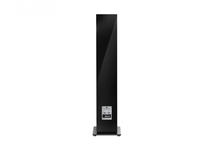 Triangle Gaia Ez (Black High Gloss) задняя панель