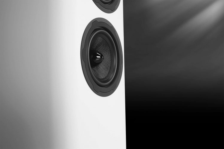 Wharfedale Evo 5.3 White НЧ диффузор