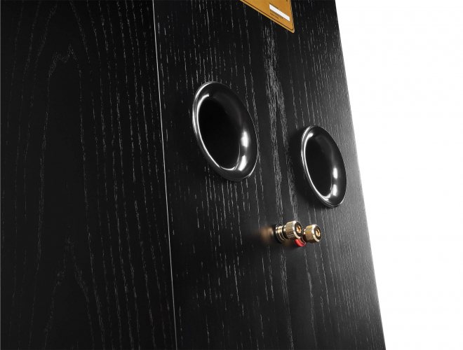 Wharfedale Super Linton Black Oak Акустические разъёмы