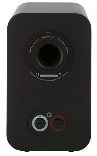 Q Acoustics 3020i (Carbon Black) задняя панель