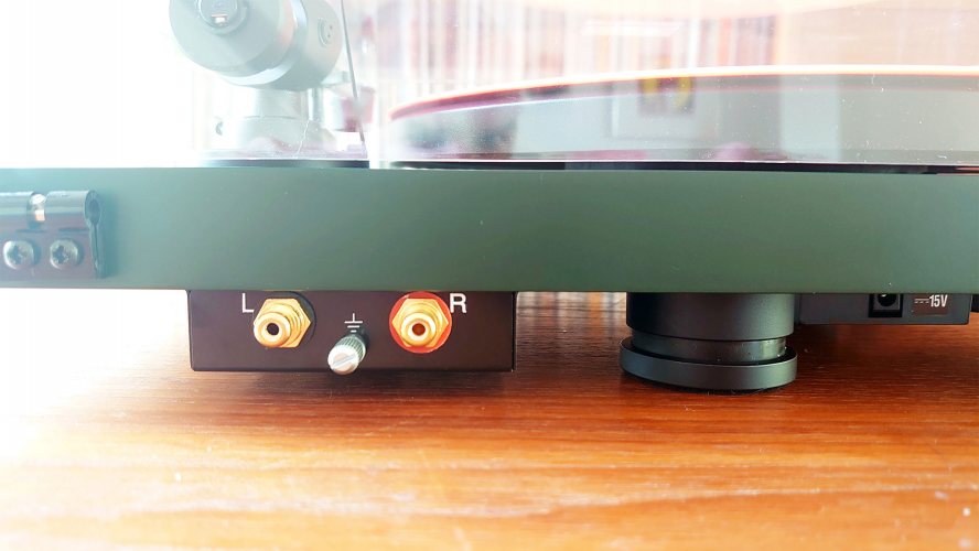 Pro-Ject Debut Carbon EVO (Satin Fir Green) задняя панель