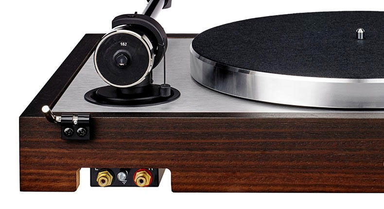 Pro-Ject The Classic EVO 2M Silver (Eucalyptus) задняя панель