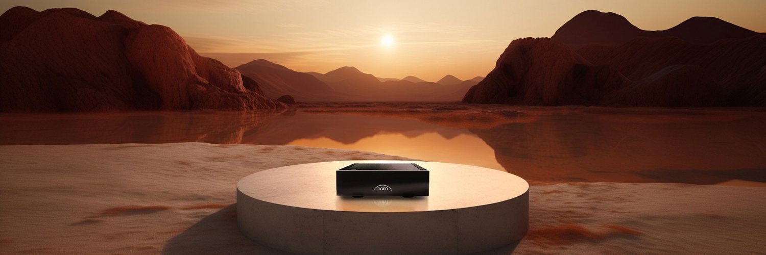 Naim NPX TT Внешний блок питания