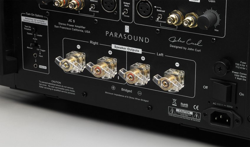 Parasound JC5 (Black) аудио разъёмы